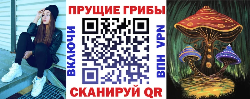 Галлюциногенные грибы Cubensis  Купить где  Тейково 